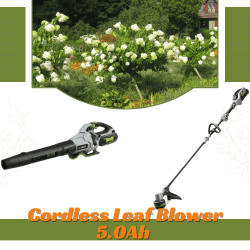 next generation gardening power tool and gadgets - Leaf blower