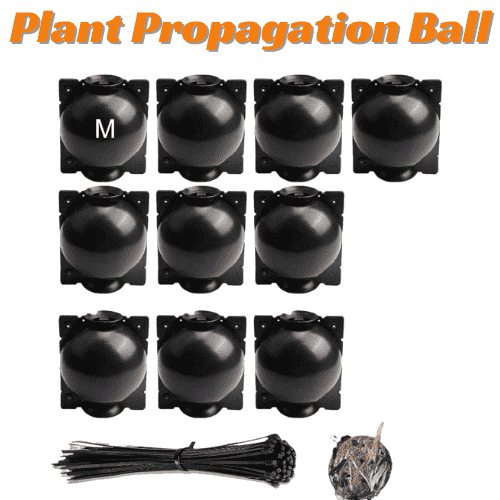 Innovative gardening technology- Plant Propagation Ball